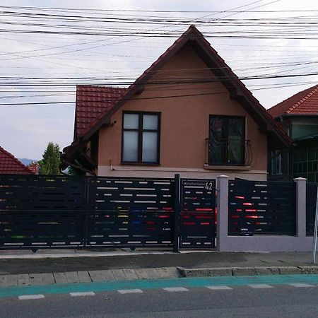 Haffner Studio Kaloşvar Dış mekan fotoğraf